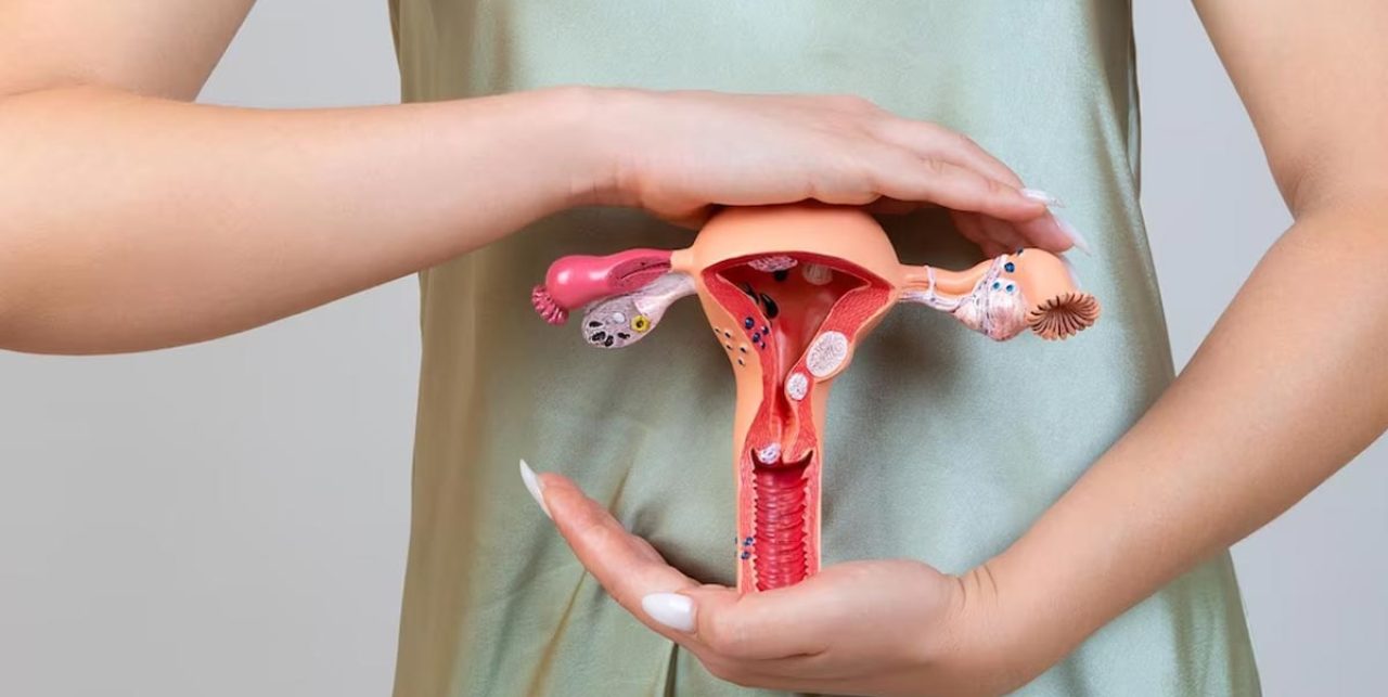 Gynaecological Cancer